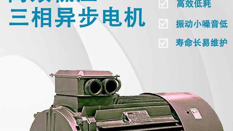 三相异步电机维修，这些规范标准你了解吗？**